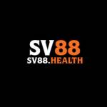 SV 88 Profile Picture