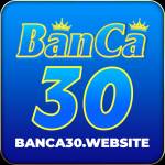 Banca30 Profile Picture