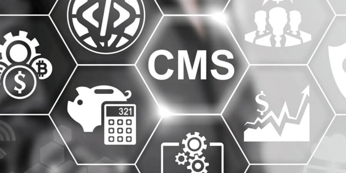 Affordable SEO Plan & CMS Development Services for Growth