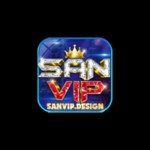 SANVIP profile picture