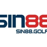 SIN88 Profile Picture