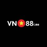 VN 88 Profile Picture