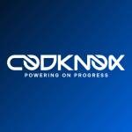 Codknox Software Company Profile Picture