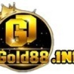 GOLD88 Profile Picture