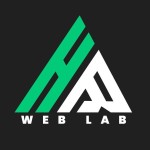 HR Web Lab profile picture