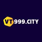 Vt999 city Profile Picture