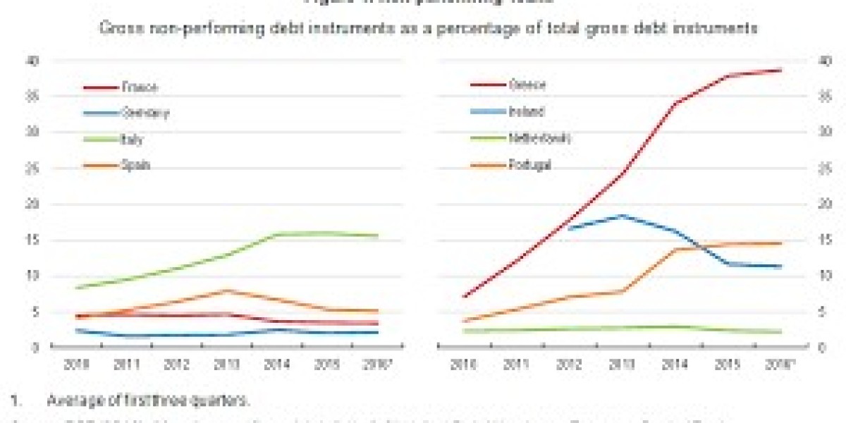 Accelerated Non-Performing Loan (NPL) Recovery: Strategies for Financial Stability and Growth