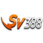 Sv388 Profile Picture