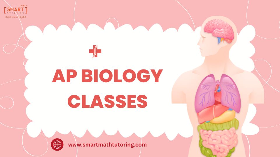 Comprehensive AP Biology Classes to Help You Master the Material and Score High! – Smart Math tutoring