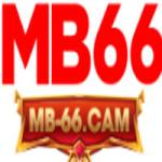 MB66 profile picture