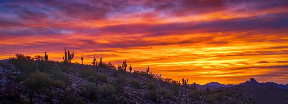 Pima Behavioral Health Cover Image