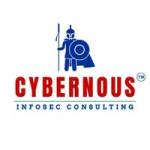 Cybernous Infosec consulting Profile Picture