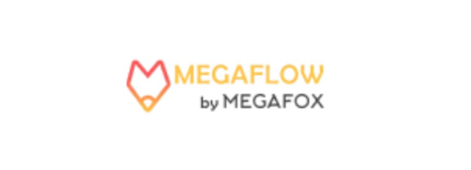 Mega flow Cover Image