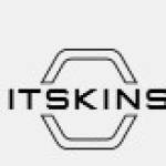 us itskins Profile Picture