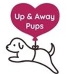 Upandaway Pups Profile Picture