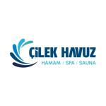 Çilek Havuz profile picture