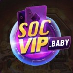 socvip profile picture