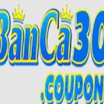 Banca30 Profile Picture