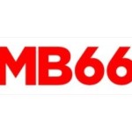 mb66tw mb66tw Profile Picture