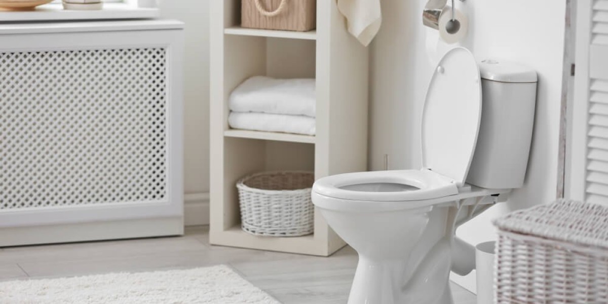 Fast Solutions for Blocked Toilets in Kettering