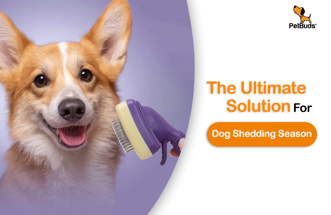 Your Ultimate Solution For Dog Shedding Season  – PetBuds