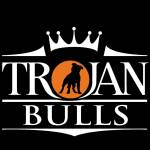 Trojan Bulls profile picture