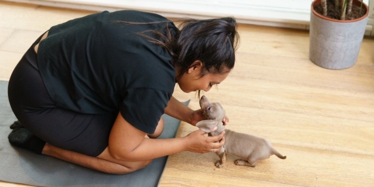 The Best Puppy Yoga Studios in London