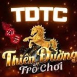 TDTC Thiên Đường Trò Chơi Profile Picture