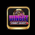 vinbet Profile Picture