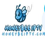 Honey bee iptv Profile Picture