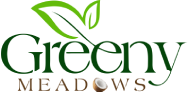 Greeny Meadows | Leading Fresh Coconut Exporter in India