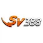 SV388 Profile Picture