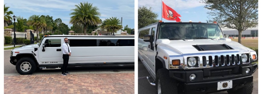 Ambassador Limousine Cover Image