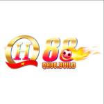 QH88 build Profile Picture