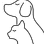 Paws & Whiskers Profile Picture