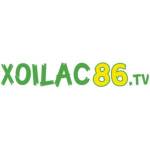 Xoilac TV Profile Picture