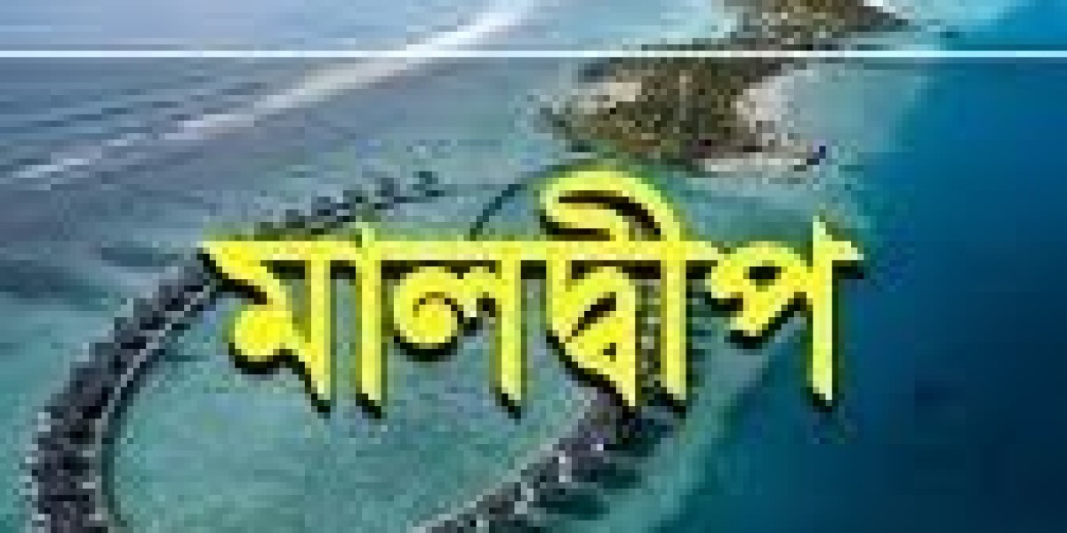 Zoom Tours & Travels