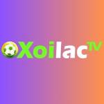 Xoilactviicc giả mạo Profile Picture