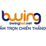 Bwingbet Net Profile Picture