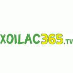 xoilac 365 Profile Picture