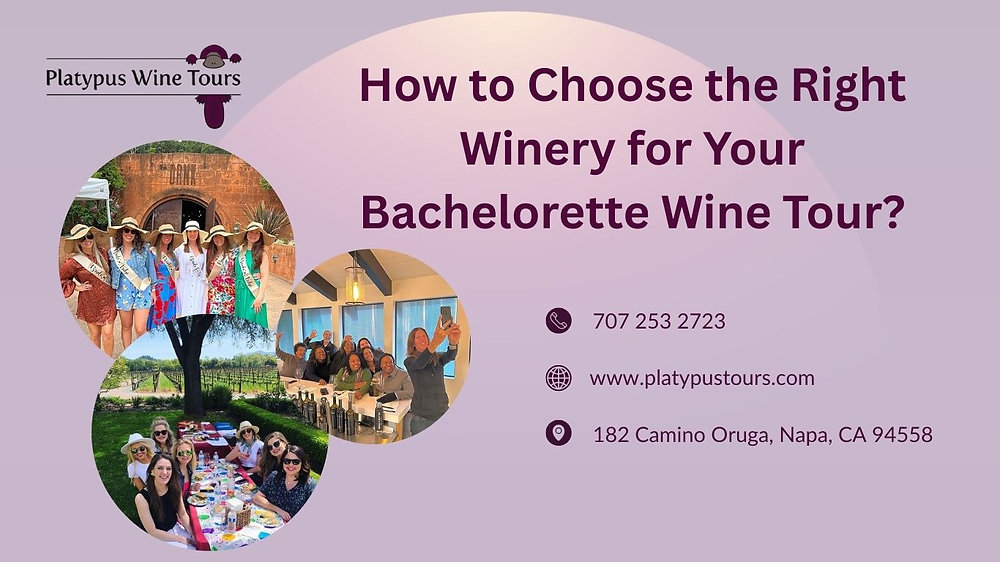 How to Choose the Right Winery for Your Bachelorette Wine Tour?