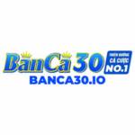 Banca30 Profile Picture