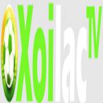xoilactvnvn cc Profile Picture