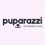 Puparazzi LA Profile Picture