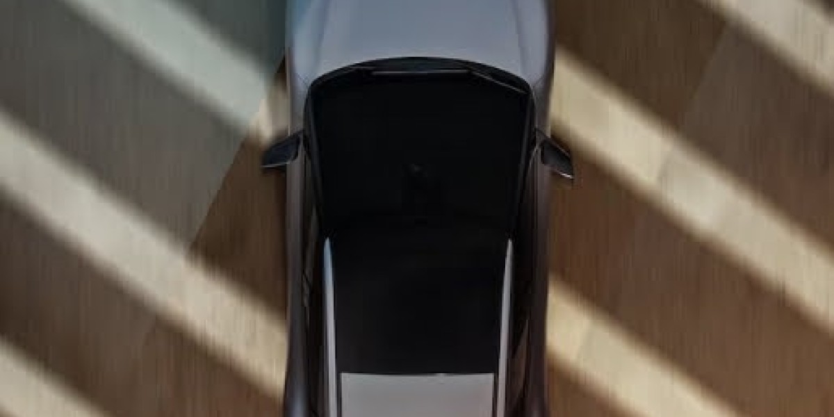 The Tesla That Tried to Fly (And the Elon That Almost Let It)