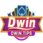 dwin tips Profile Picture