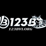 123bvi org Profile Picture