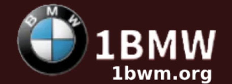 1BMWOG Cover Image