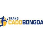 Trang Cá Độ Profile Picture