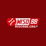 miso88eorg Profile Picture